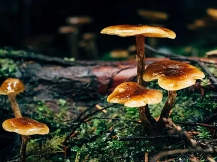 Anxiety Reduction - Relaxing Delta Waves Sounds