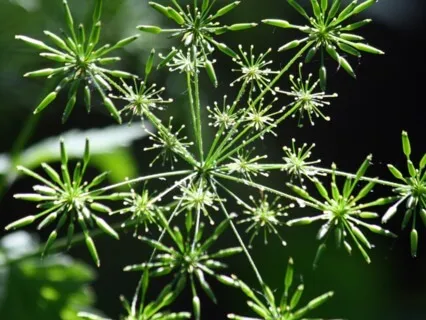 Anxiety Reduction - Relaxing Waves For Sleep & Focusing