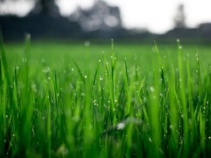 Anxiety Reduction - Release Fear & Worries