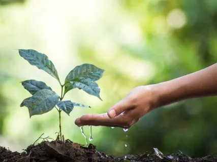 Anxiety Reduction - Release Inner Conflict & Struggle 