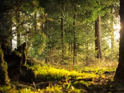 Anxiety Reduction - Release Stress With The Power Of Music