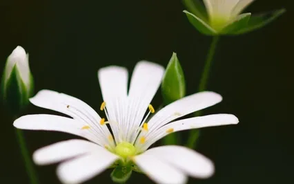 Anxiety Reduction - Releasing Stress Through Music