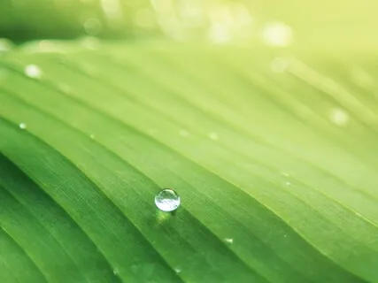 Anxiety Reduction - Relief From Anxiety & Stress