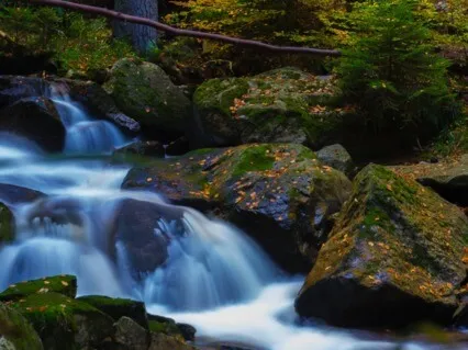  Anxiety Reduction: Relief From Depressive States