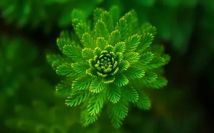 Anxiety Reduction - Relieve Anxiety