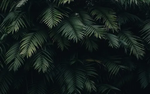 Anxiety Reduction - Relieve Stress And Fatigue