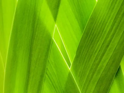 Anxiety Reduction - Retreat Into Peace