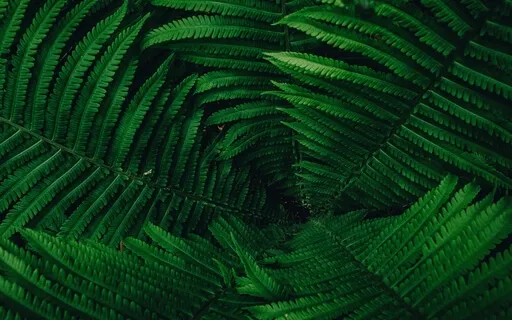 Anxiety Reduction - Self Care Music