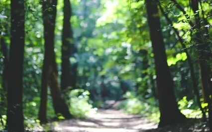 Anxiety Reduction - Self Love