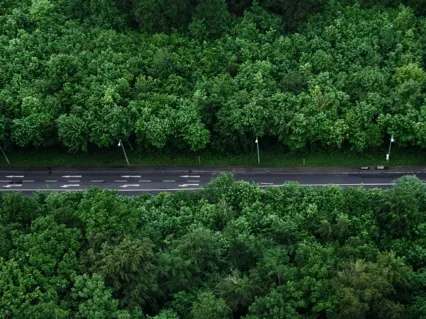 Anxiety Reduction - Self Reflection