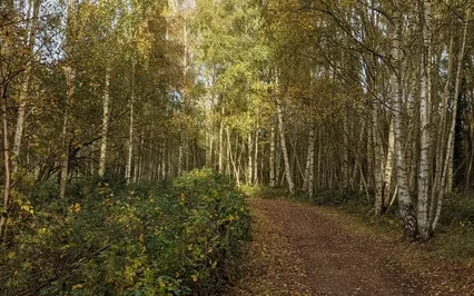 Anxiety Reduction - Soothing Headache, Migraine And Anxiety 