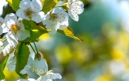 Anxiety Reduction - Soothing Journey