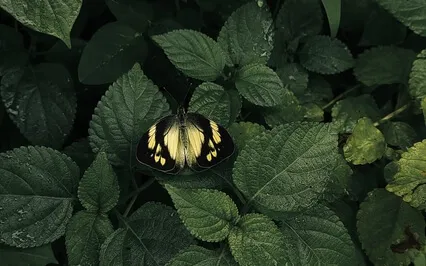 Anxiety Reduction - Soothing Sleep Music To Reduce Anxiety 