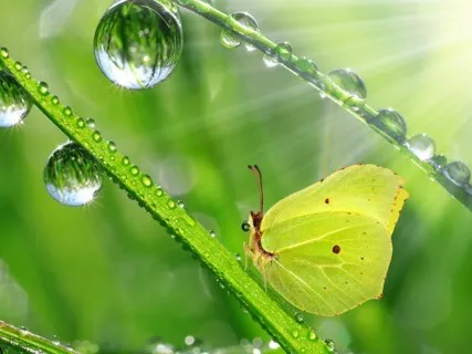 Anxiety Reduction - Soothing Sounds For Stress Relief