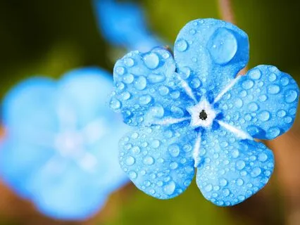 Anxiety Reduction - Soulful Serenity