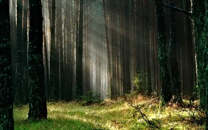 Anxiety Reduction - Speak Yourself