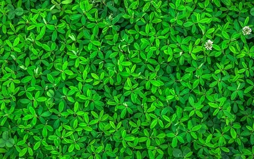 Anxiety Reduction - Stillness Within