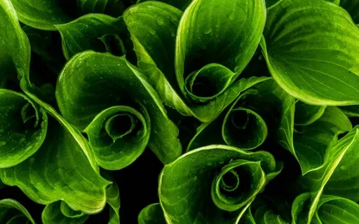 Anxiety Reduction - Stop Feeling Anxious