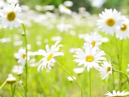 Anxiety Reduction - Stop Inner Conflict