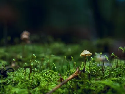 Anxiety Reduction - Stop Over Thinking