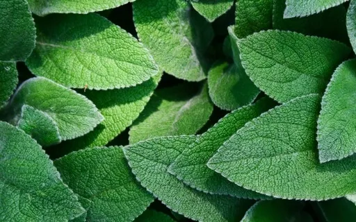 Anxiety Reduction - Stop Overthinking & Worrying