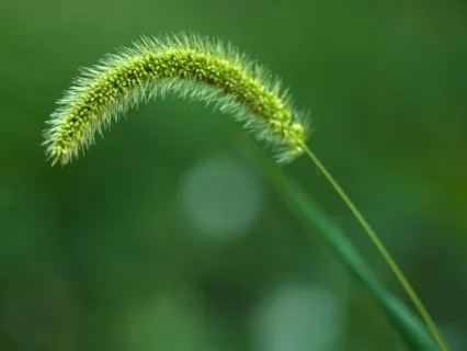 Anxiety Reduction - Stress And Toxins Cleansing