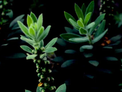 Anxiety Reduction - Stress Relief Healing Music