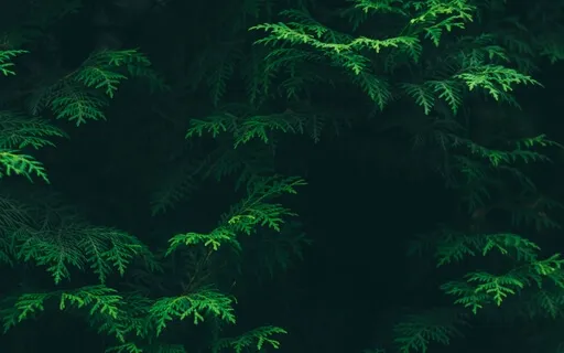 Anxiety Reduction - Stress Relief Music