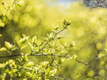 Anxiety Reduction - The Art Of Letting Go