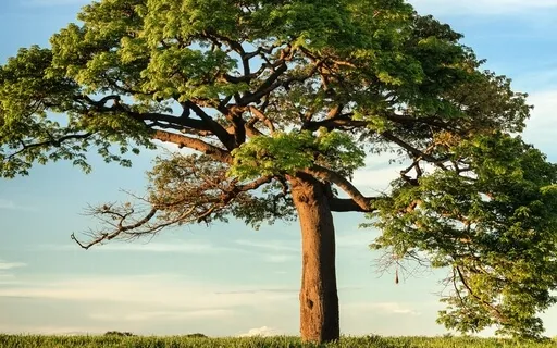 Anxiety Reduction - The Art Of Relaxing