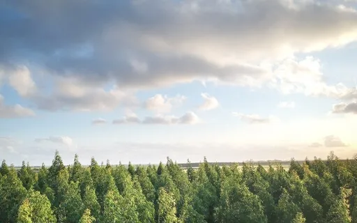 Anxiety Reduction - Touching Thoughts