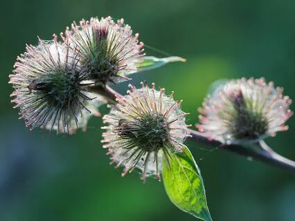 Anxiety Reduction - Tranquil Anxiety