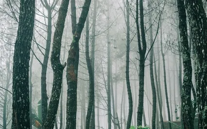 Anxiety Reduction - Transform Yourself