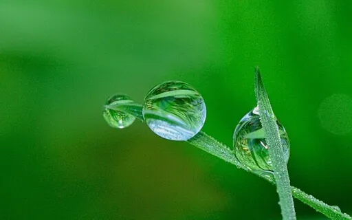 Anxiety Reduction - Trigger Relaxation Response