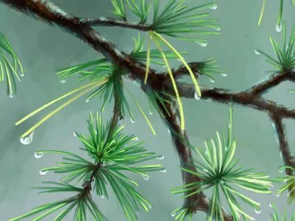 Anxiety Reduction - Unraveling Thoughts And Emotions