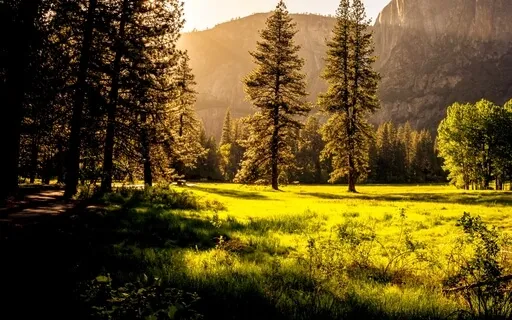 Anxiety Reduction - Wake Up Your Inner Sun