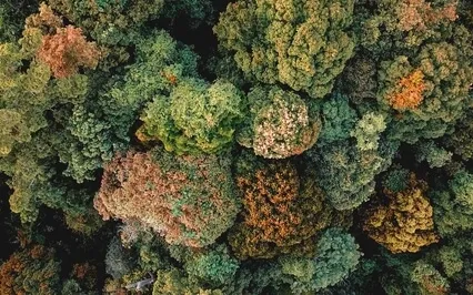 Anxiety Reduction - Warm Feeling