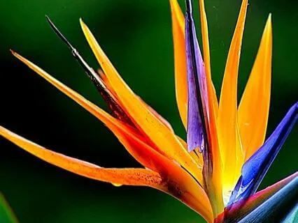 Anxiety Reduction - Your Safe Haven