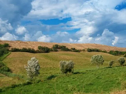 Anxiety Release: Drift Into Tranquility