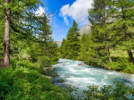 Anxiety Release: Embrace Tranquility