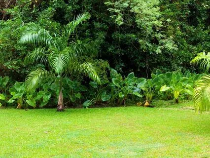 Anxiety Release: Find Peace And Comfort Now