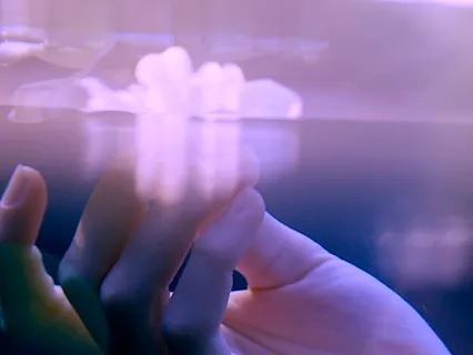 Anxiety Release-I Am The Sea Of Tranquility