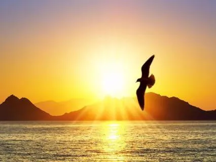 Anxiety Relief And Inner Peace | Relaxing Angelic Lyre