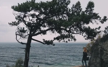 Anxiety Relief And Transition To Power 