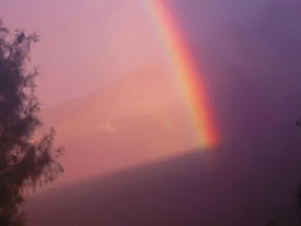 Anxiety SOS For LGBTQ+: Resilience & Hope