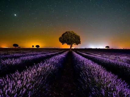 Anxiety Relief For Sleep