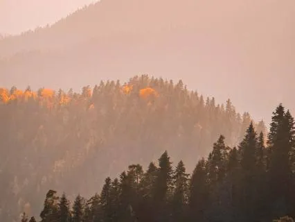 Anxiety Relief: Pure Ambient Nervous System Reset (20 min)