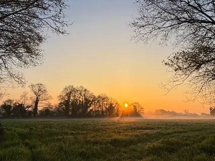 Anxiety Relief, Relaxation, Health, And Healing