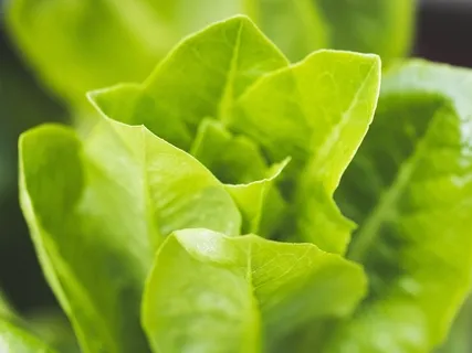 Anxiety Relief Surrounding The Coronavirus & Immune System boost