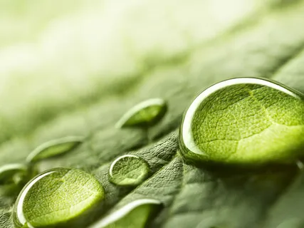 Anxiety Relief With "I Am Here Now" - A Grounding Practice For Worry And Distress